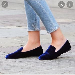 Blue velvet birdies lightly used